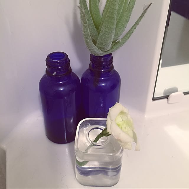 kinariさんの実例写真
