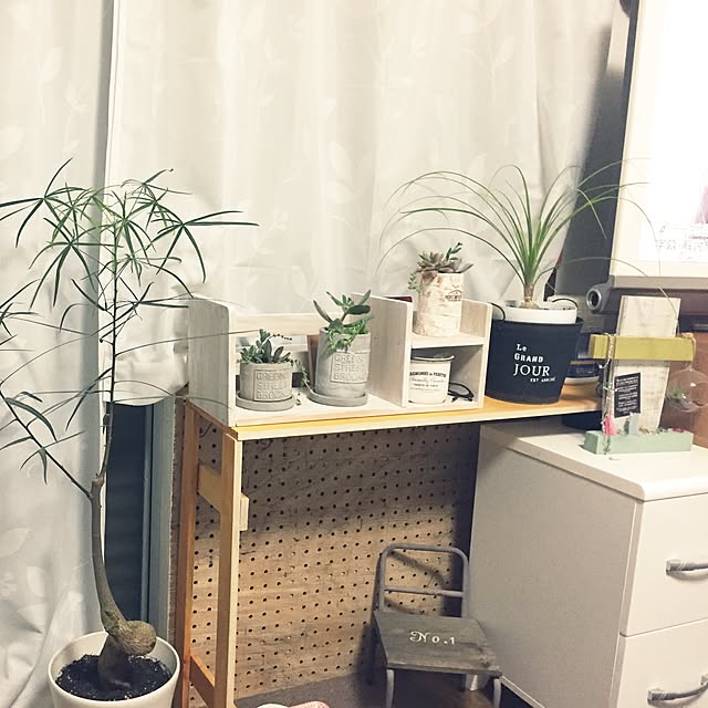 棚/リメ缶/多肉植物/雑貨/観葉植物...などのインテリア実例 - 2017-05-26 21:02:31