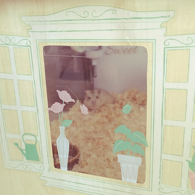 Minoriさんの実例写真