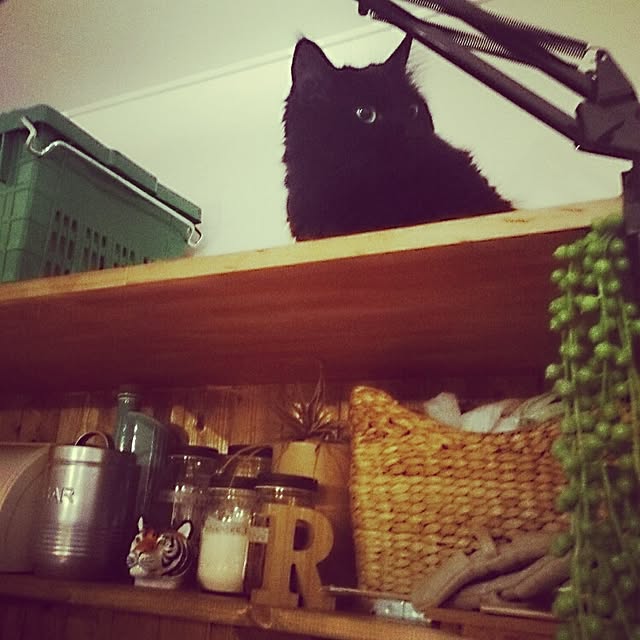 yosupic22さんの実例写真
