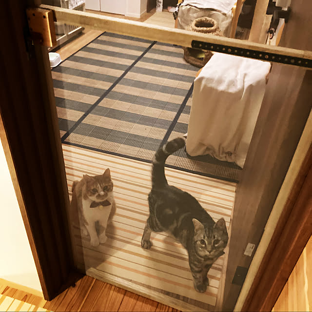 nagashimanさんの実例写真