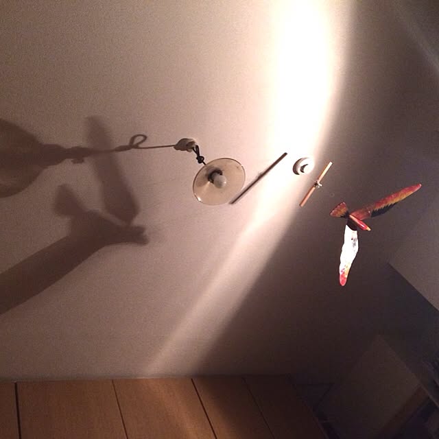 wanarchyさんの実例写真