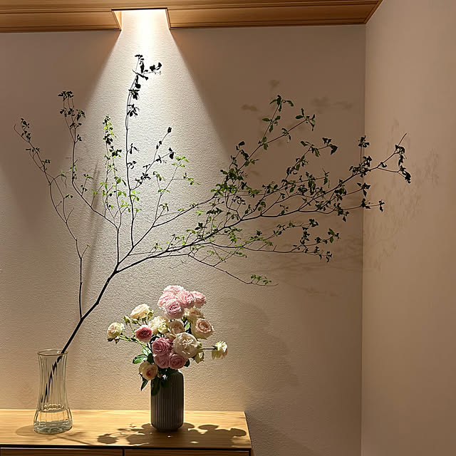 心地よい暮らし/観葉植物/こどものいる暮らし/花のある暮らし/玄関/入り口のインテリア実例 - 2025-05-28 00:25:36