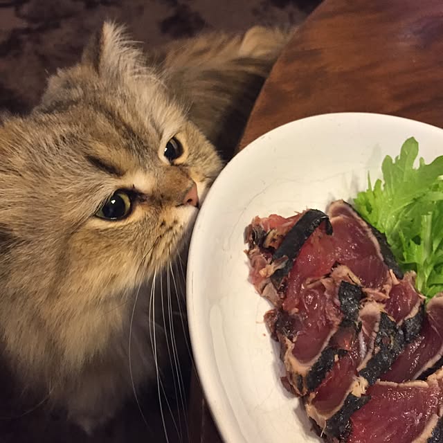 butachanさんの実例写真