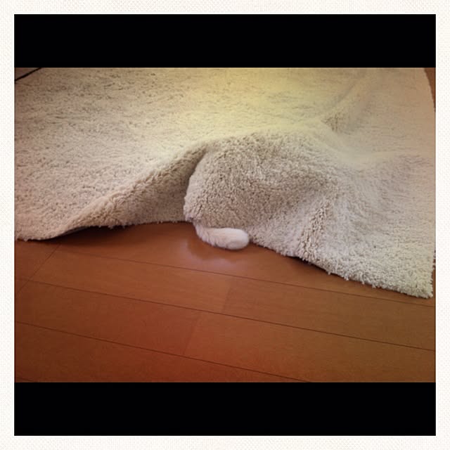 mameさんの実例写真