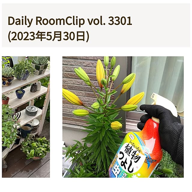 h.t.さんの実例写真