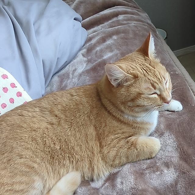 minnieさんの部屋