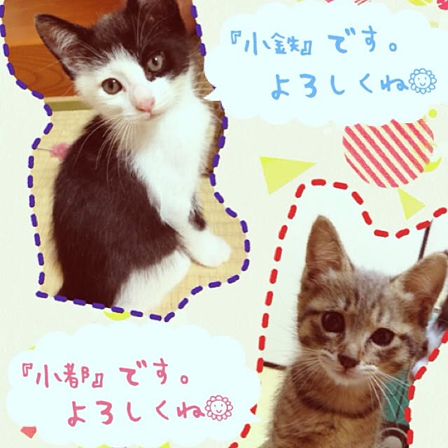 konatsuさんの実例写真