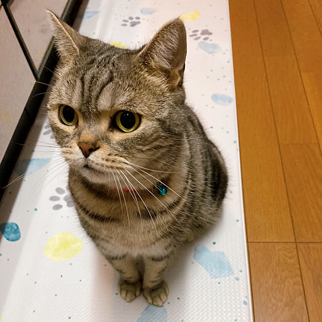 mame-minさんの実例写真
