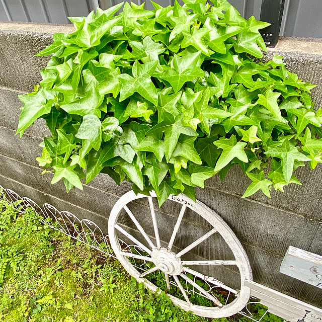 YuuKoさんの実例写真