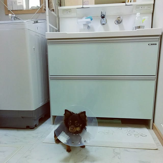 miyuさんの実例写真