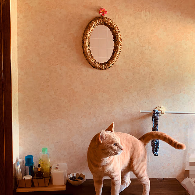 simayaさんの実例写真