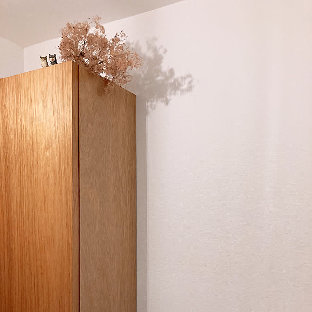 Maaaakoさんの実例写真
