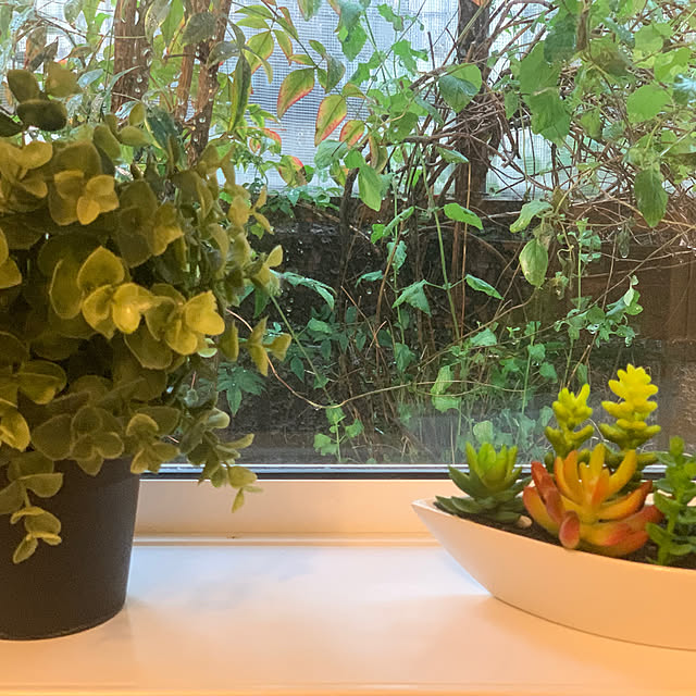 masakoさんの部屋