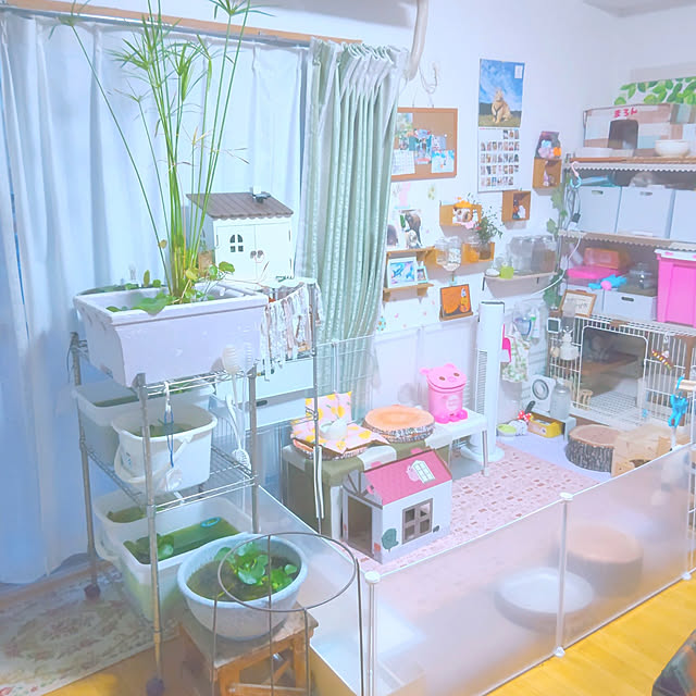 mariaさんの実例写真