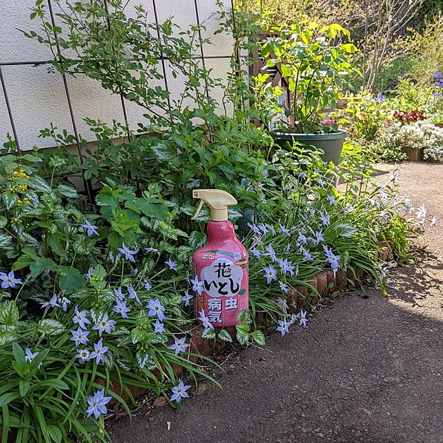 hiroさんの実例写真