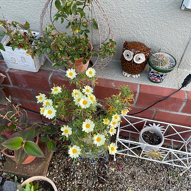 shin0719さんの部屋