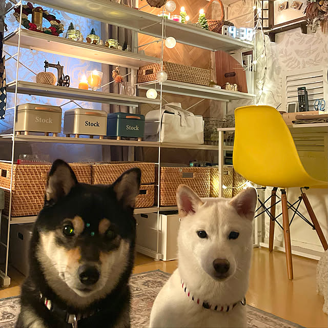 mo-nosukeさんの実例写真
