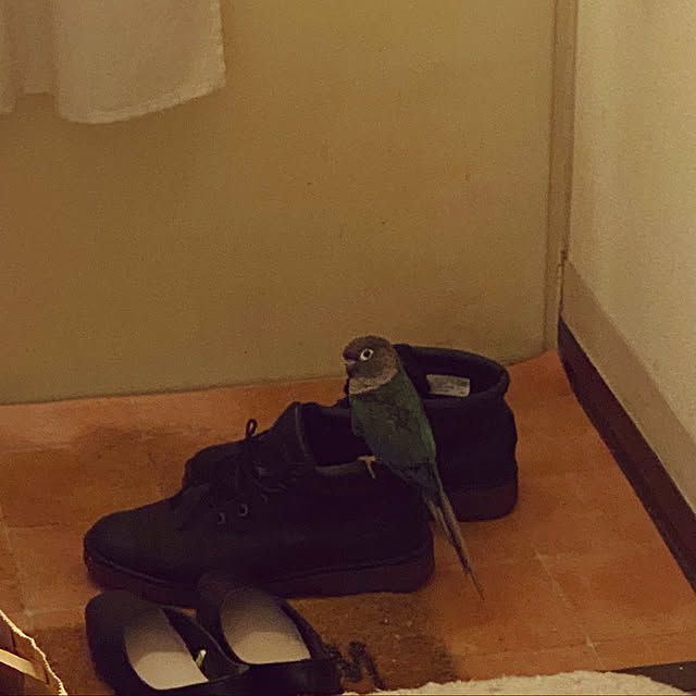mさんの実例写真