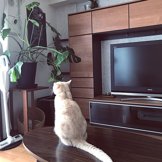 hiyupan88さんの実例写真