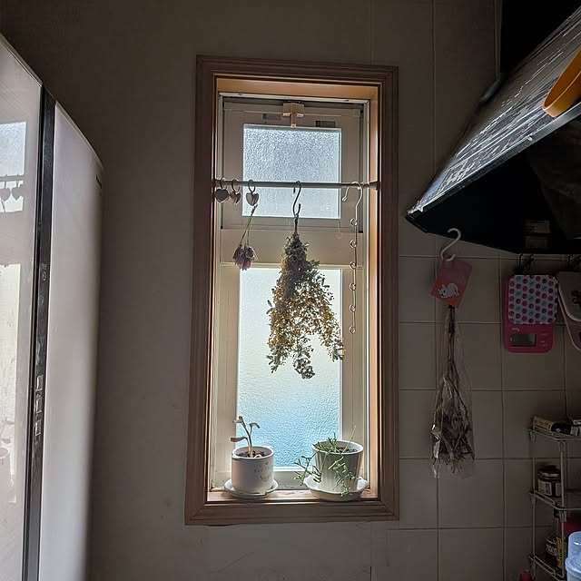 chi_gogaさんの部屋