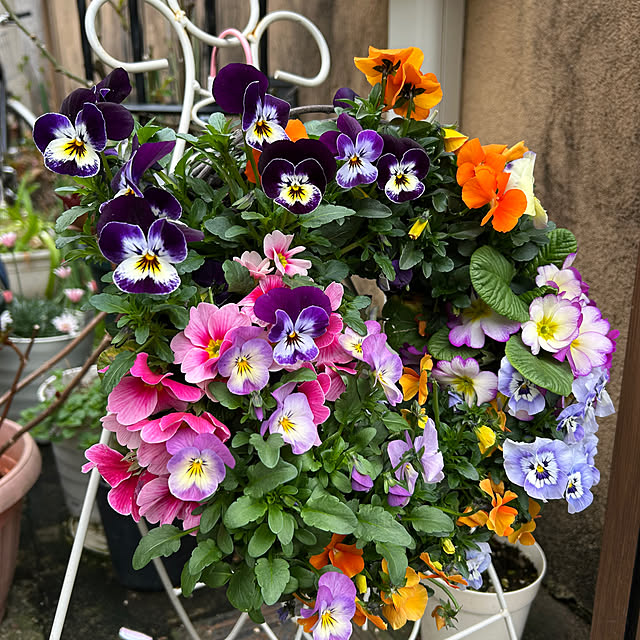 fumikoiさんの部屋