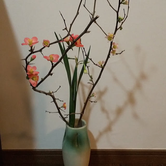 guiさんの実例写真