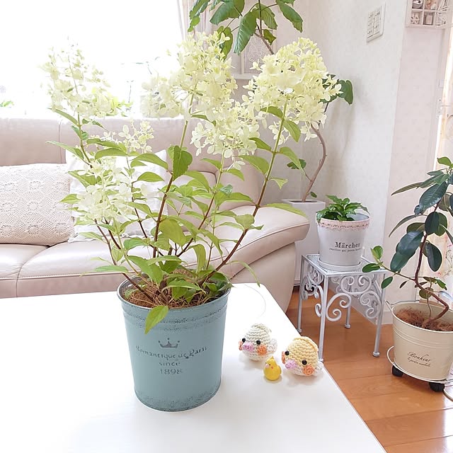 fleur-mamanさんの実例写真