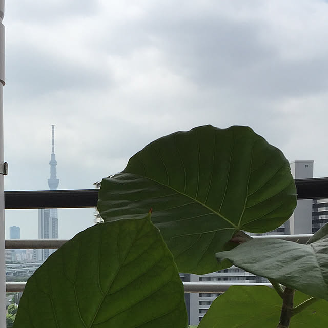 HKSさんの実例写真