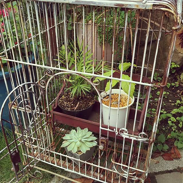 tarohagiharaさんの実例写真