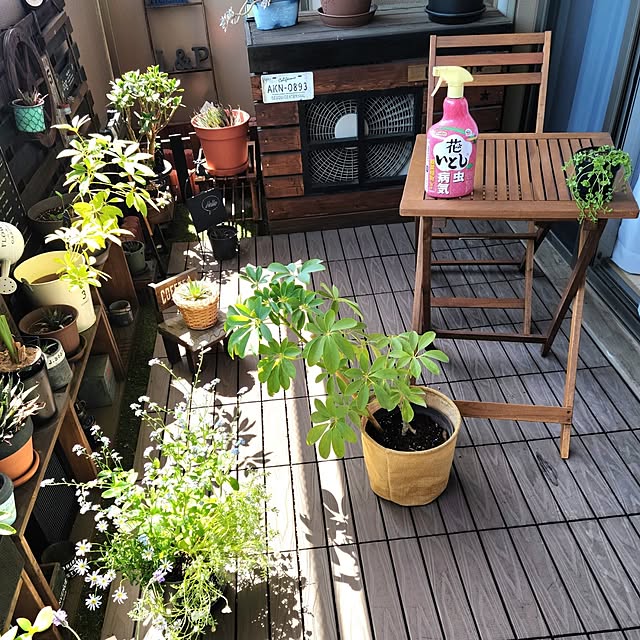 lovepeaceさんの実例写真