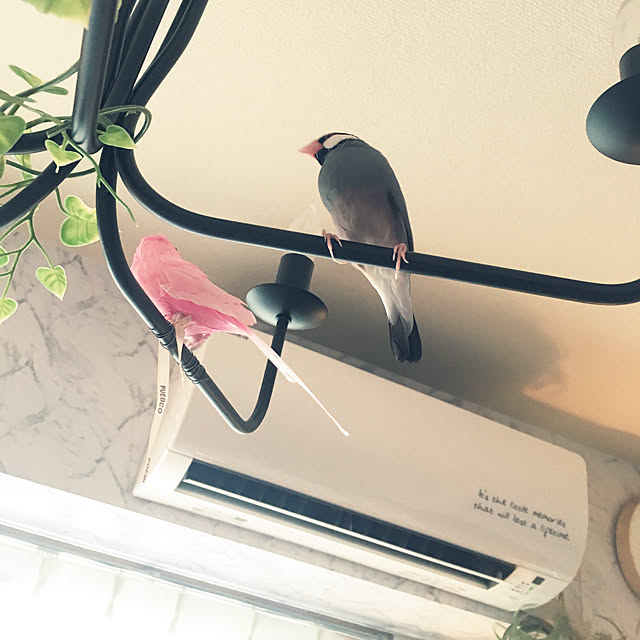 kanaさんの実例写真