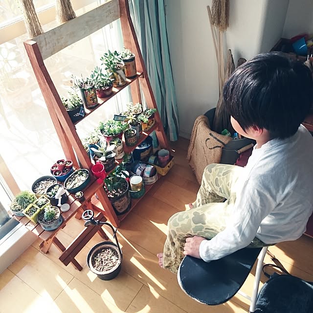 alicedragonさんの実例写真