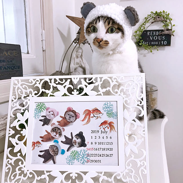 yuchiさんの実例写真