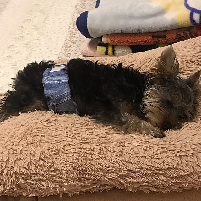 marikoさんの部屋