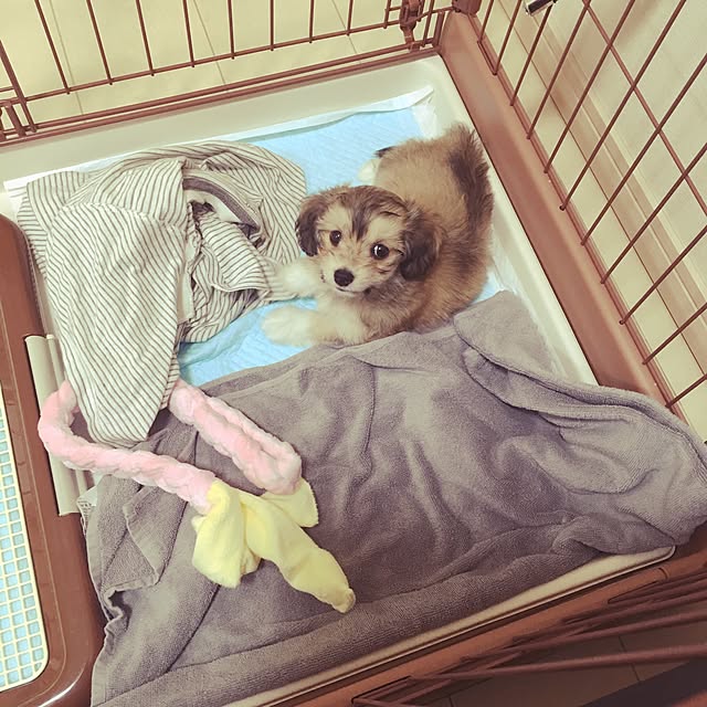 rikoさんの実例写真