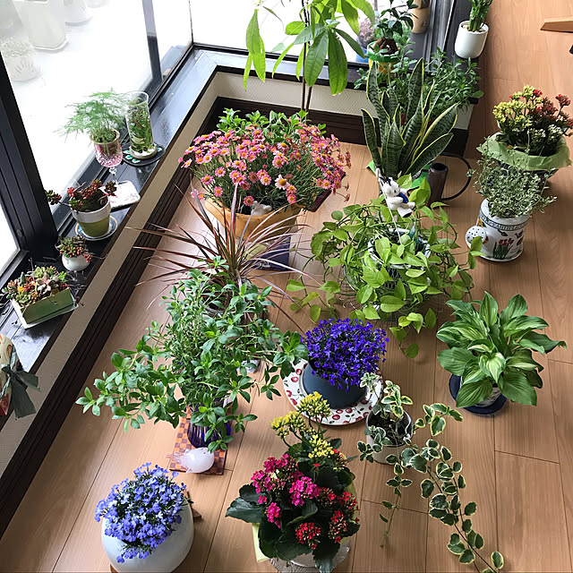 fuyiqian1026さんの実例写真