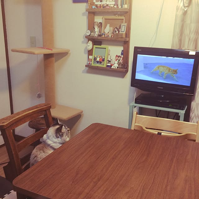 aicon26さんの実例写真