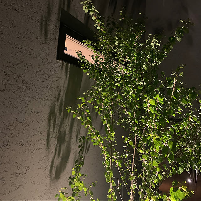 h_home.hさんの部屋