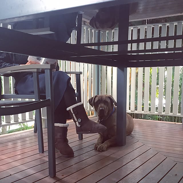 Toffieさんの実例写真