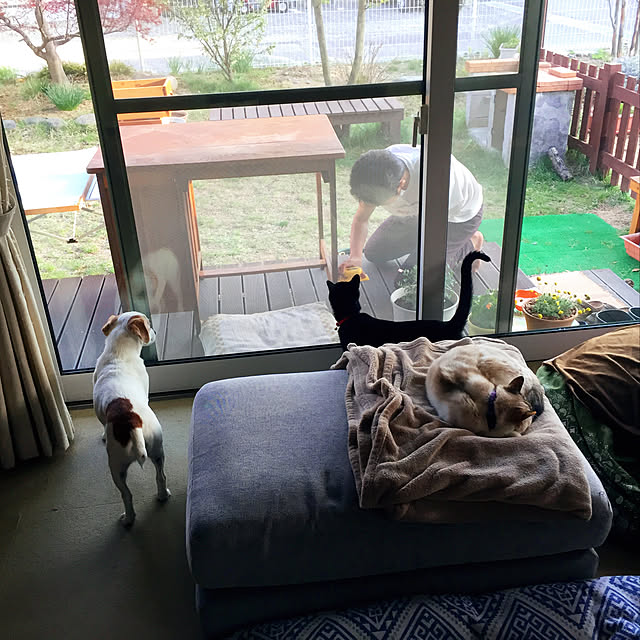 nanaさんの実例写真