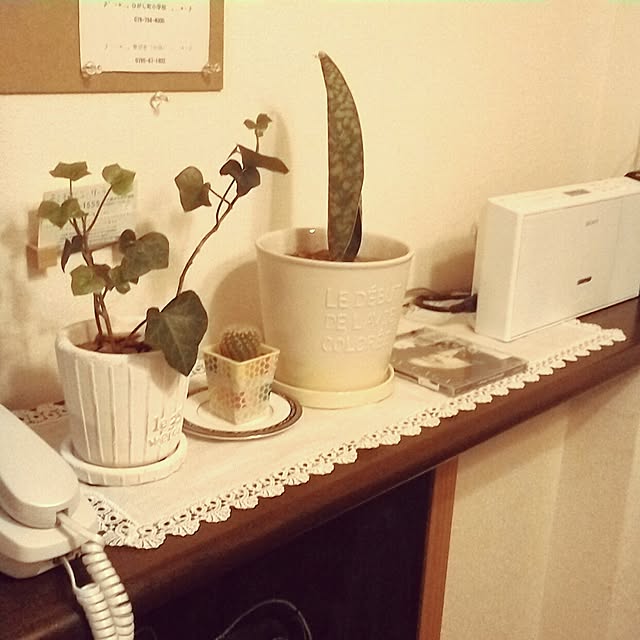 sikaさんの実例写真
