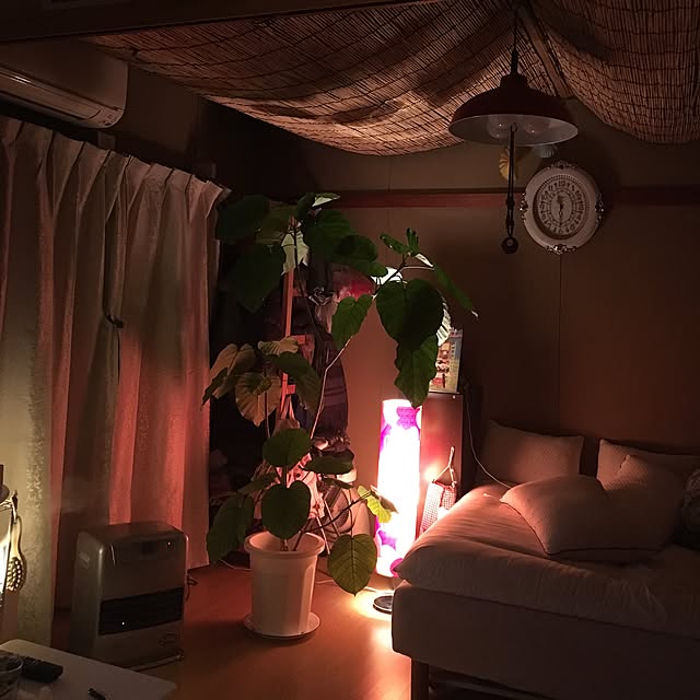 chihiroさんの実例写真