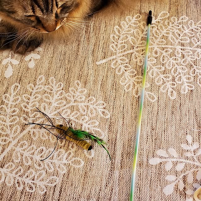 makoさんの部屋