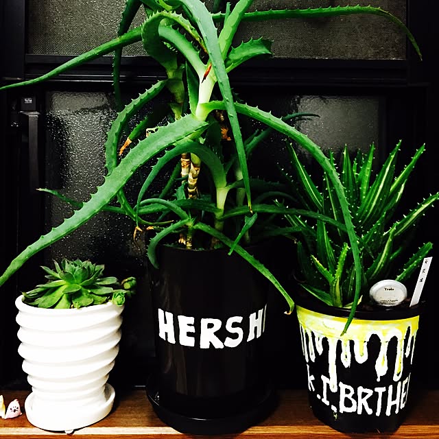 k.i.brothersさんの実例写真