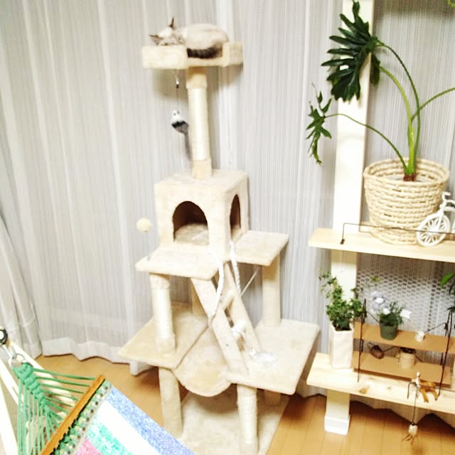 sisimaru1023さんの実例写真