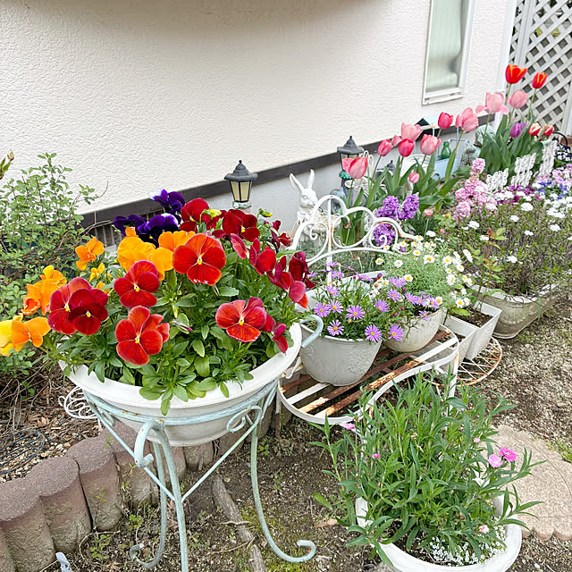 yumicyanさんの部屋