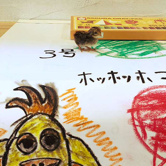 unataroさんの実例写真