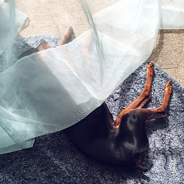 l_heureuxさんの実例写真