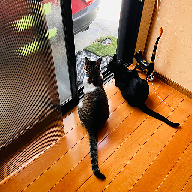 jijiさんの実例写真
